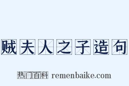 贼夫人之子造句是什么意思的图片